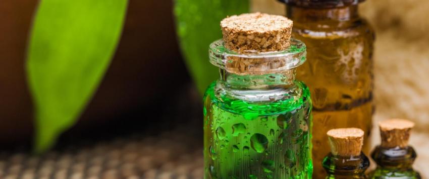 فوائد زيت شجرة الشاي للشعر