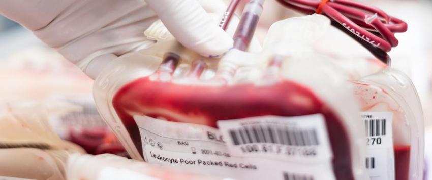  قلة الصفائح الدموية.. كل ما يجب معرفته عن هذا المرض