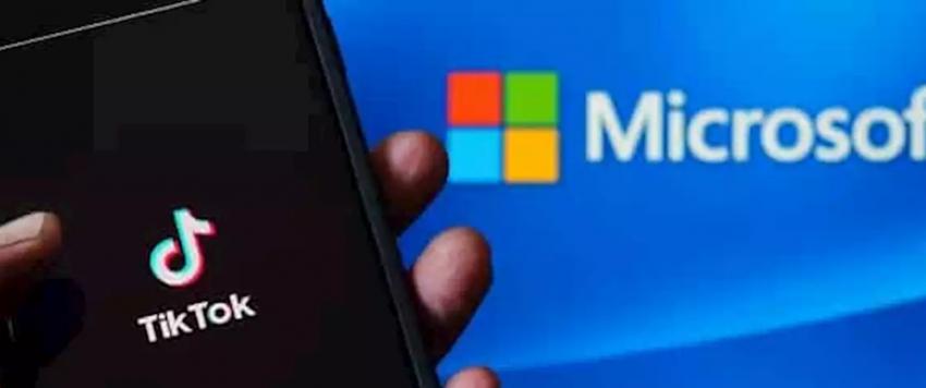 مايكروسوفت والتيك توك