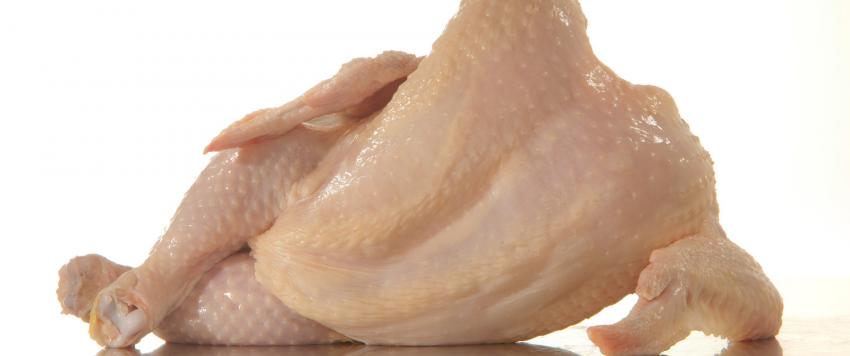 علامات تساعدك على معرفة الدجاج الفاسد..إليك أهمها