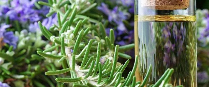 اكليل الجبل