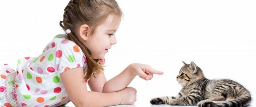 الحيوانات الأليفة