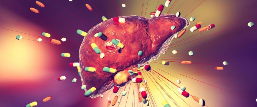 5 فوائد عظيمة يحصل عليها الجسم عقب التخلص من سموم الكبد