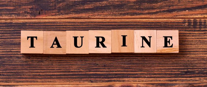 8 أطعمة صحية غنية بحمض الليوسين..تعرفي عليها