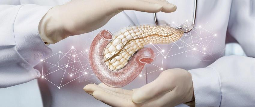 البينكرياس