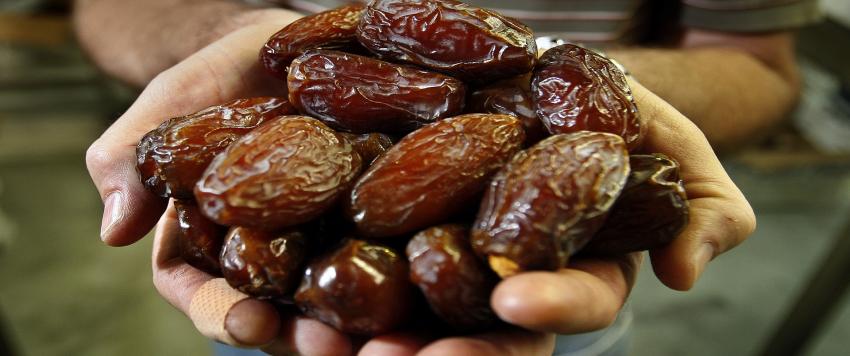 تمر المجهول