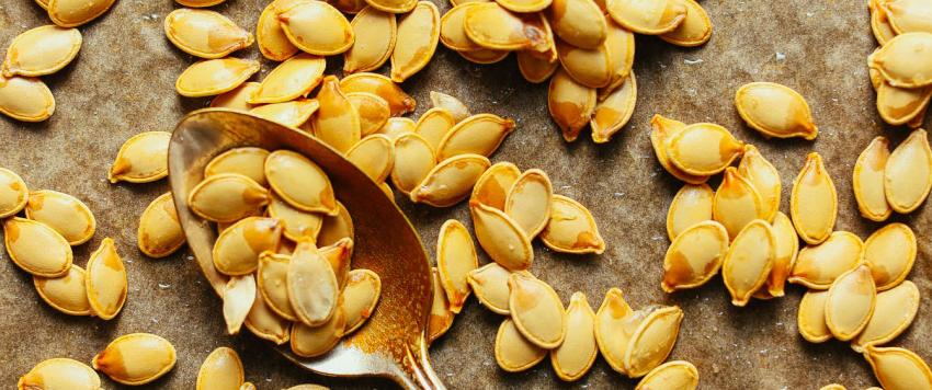 بذور اليقطين 