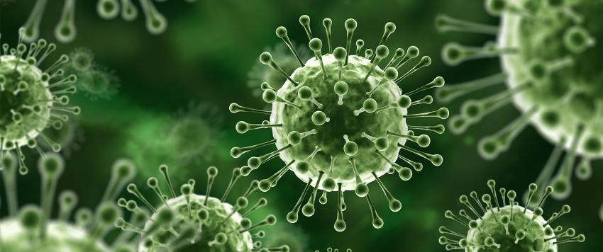 فيروس نيباه