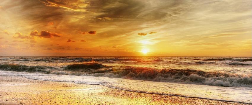 ابتكار طريقة لتحويل "السرطان" إلى بلاستيك صديق للبيئة (صور)