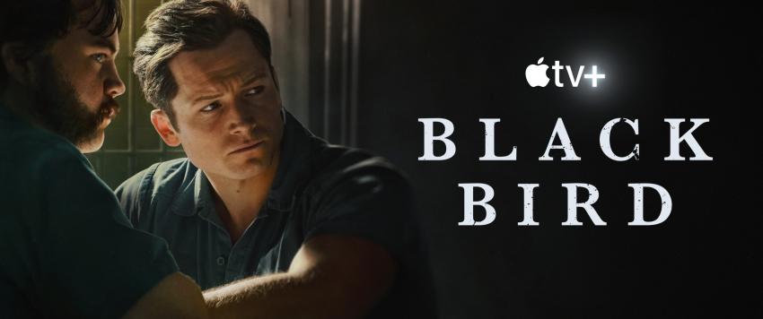 Black bird