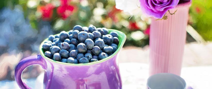 كعكة التوت الأزرق