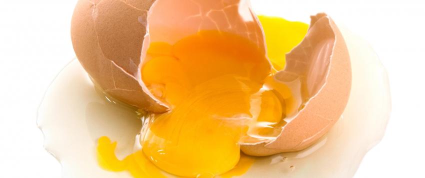 تنظيف البيض المكسور