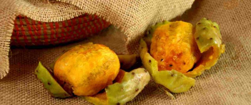 فوائد الصبر للبشرة