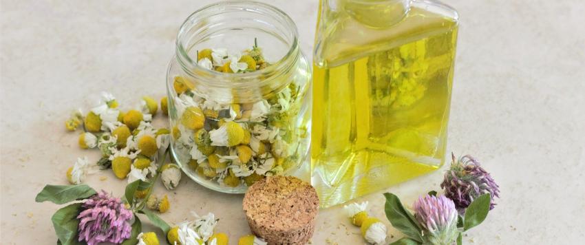 فوائد البابونج للشعر