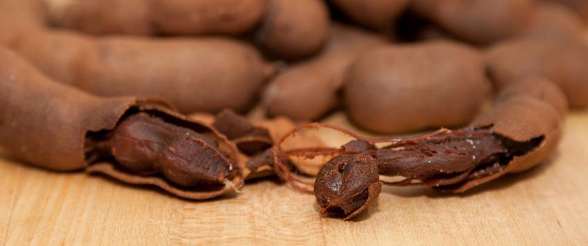 علماء يبتكرون طريقة للحصول على مصدر طاقة صديق للبيئة من قشور نبات التمر الهندي