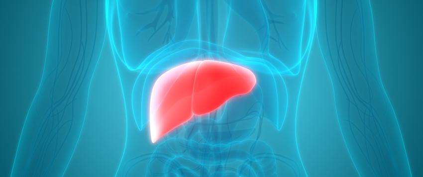  الكبد الوبائي C 