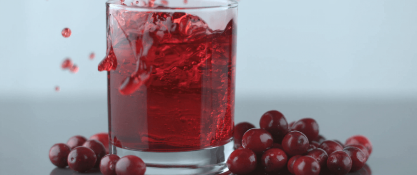 التوت البري