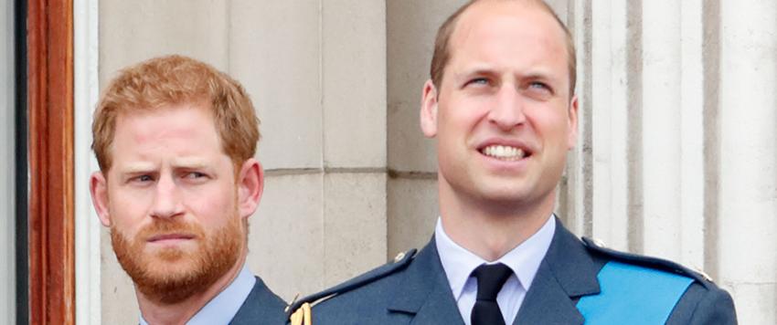 الأمير هاري والأمير ويليام