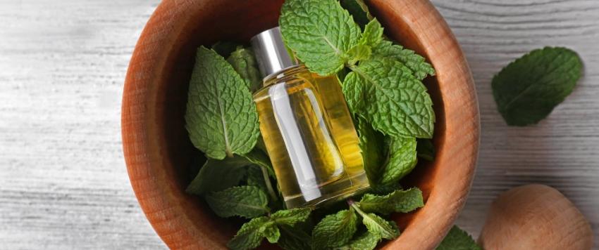 هذا ما يحدث لبشرتك عند وضع النعناع على وجهك يومياً