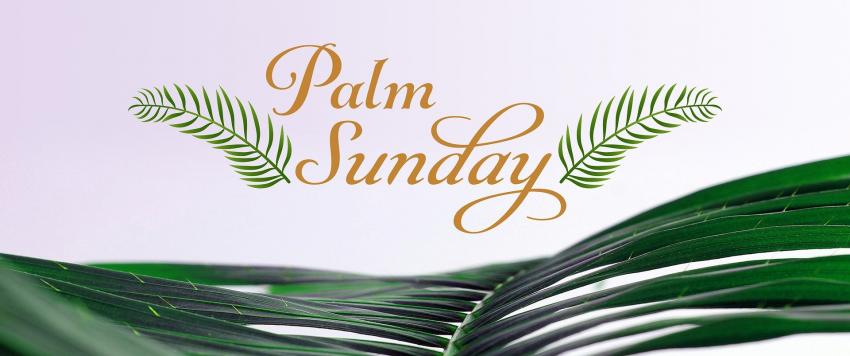  النجمات بأحد الشعانين