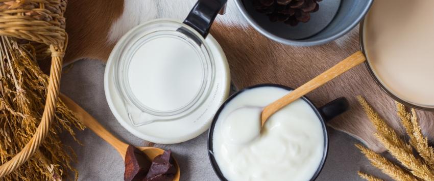 هل يعتبر الزبادي بديل آمن للمصابين بحساسية الحليب؟