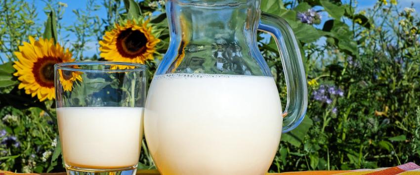 بدائل غذائية للحليب لمن يعاني من حساسيته‎