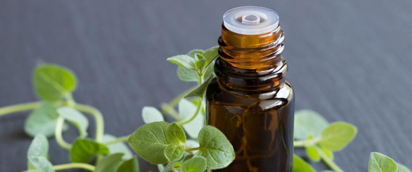 زيت الأوريجانو