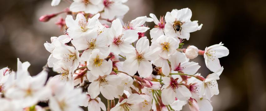 دعاء اليوم السابع و العشرين