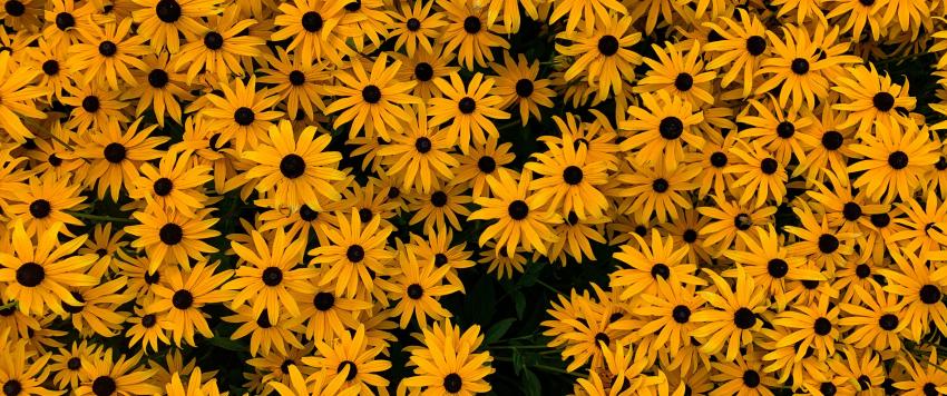 دعاء اليوم الثالث عشر