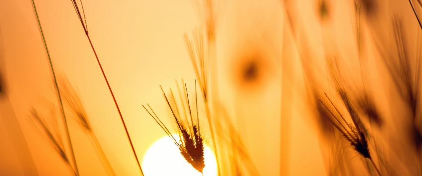 دعاء اليوم السابع عشر من رمضان