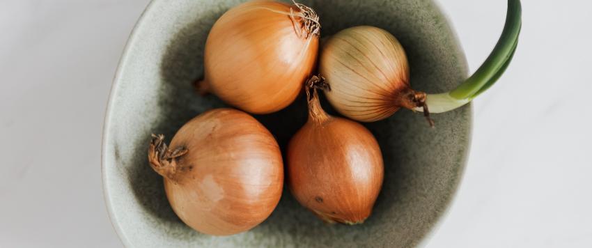 فوائد البصل