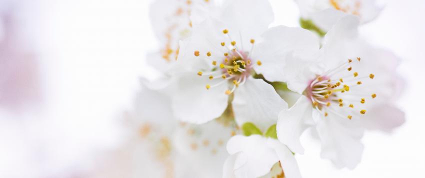 دعاء اليوم الخامس و العشرين من رمضان