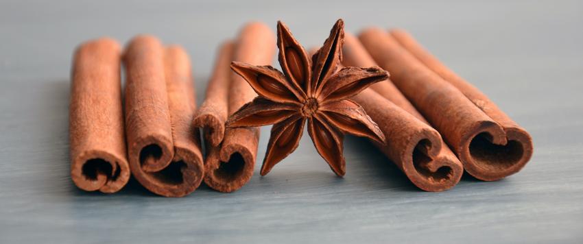 هل القرفة يمكن أن تسبب ارتجاع المريء؟ إليك كل ما تريدين معرفته