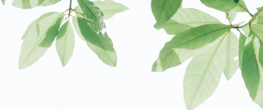 دعاء اليوم الثامن من رمضان 