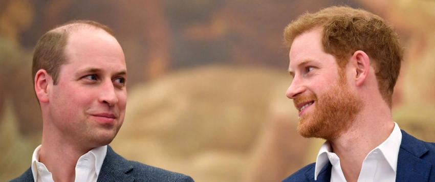 الأميرة ديانا تجمع الأخوين هاري ووليام في يوليو المقبل مرة ثانية