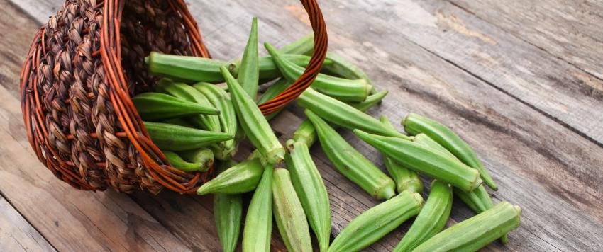 فوائد البامية