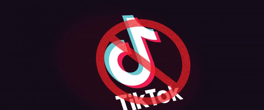 باكستان تنضم لقائمة الدول التي تحظر تطبيق "تيك توك" وهذه هي الأسباب