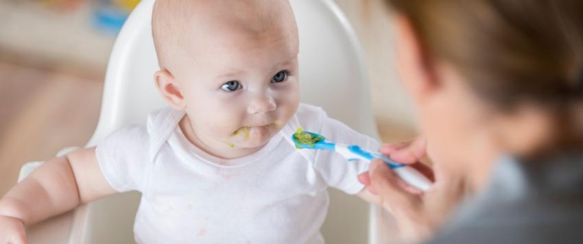 فوائد الأفوكادو للرضع في الشهر الرابع