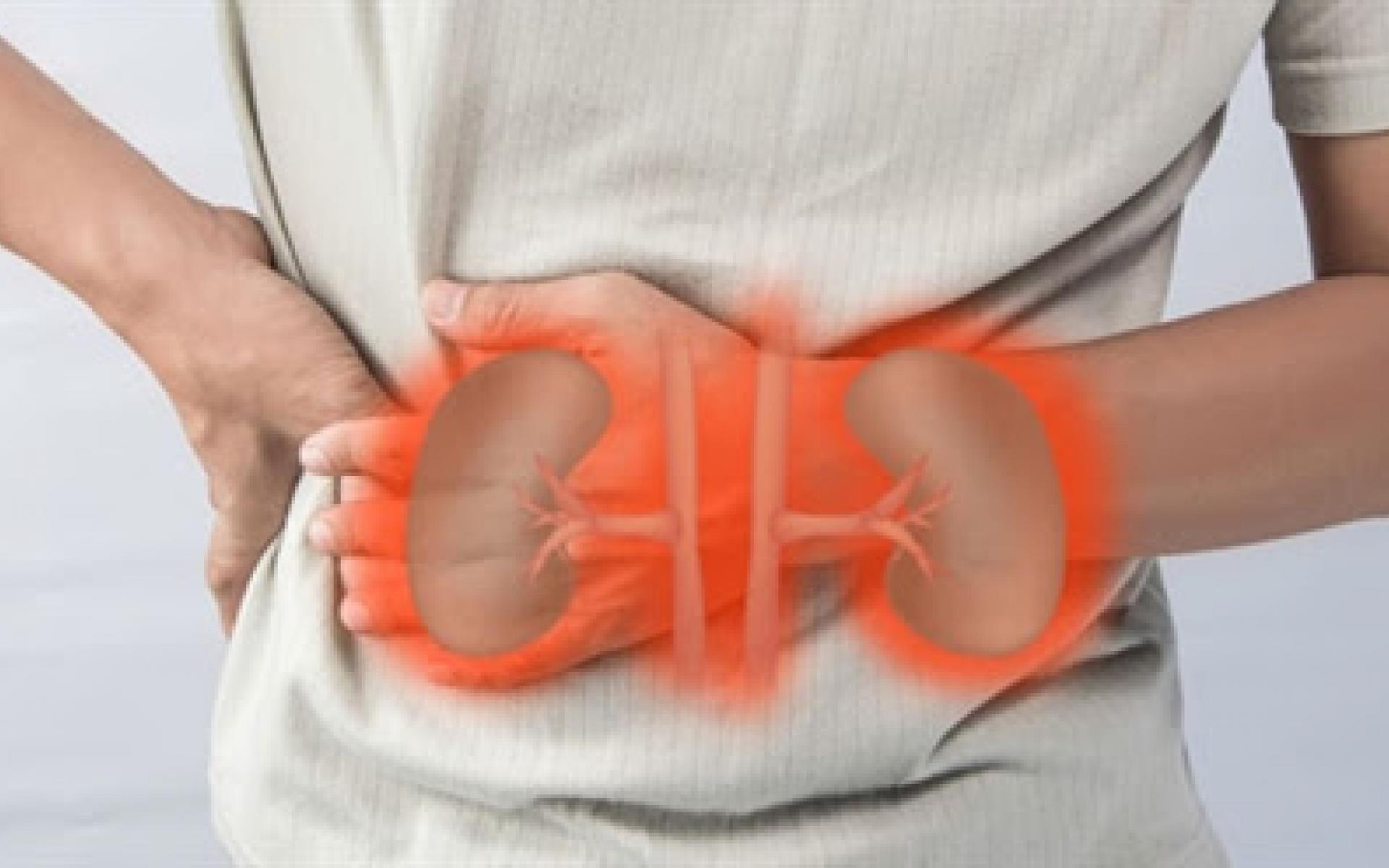 3- تحافظ على صحة الكلى:  أظهرت الدراسات أنّ الأشخاص الذين يدخلون الباميا في النظام الغذائيّ تكون نسبة تعرّضهم للإصابة بأمراض الكلى أقل من غيرهم، ومرضى السكري معرضون أكثر من غيرهم للإصابة بأمراض الكلى، فإنّ إدخال الباميا إلى النظام الغذائي يساعد في تقليل احتمالية إصابتهم بمشاكل في الكلى.