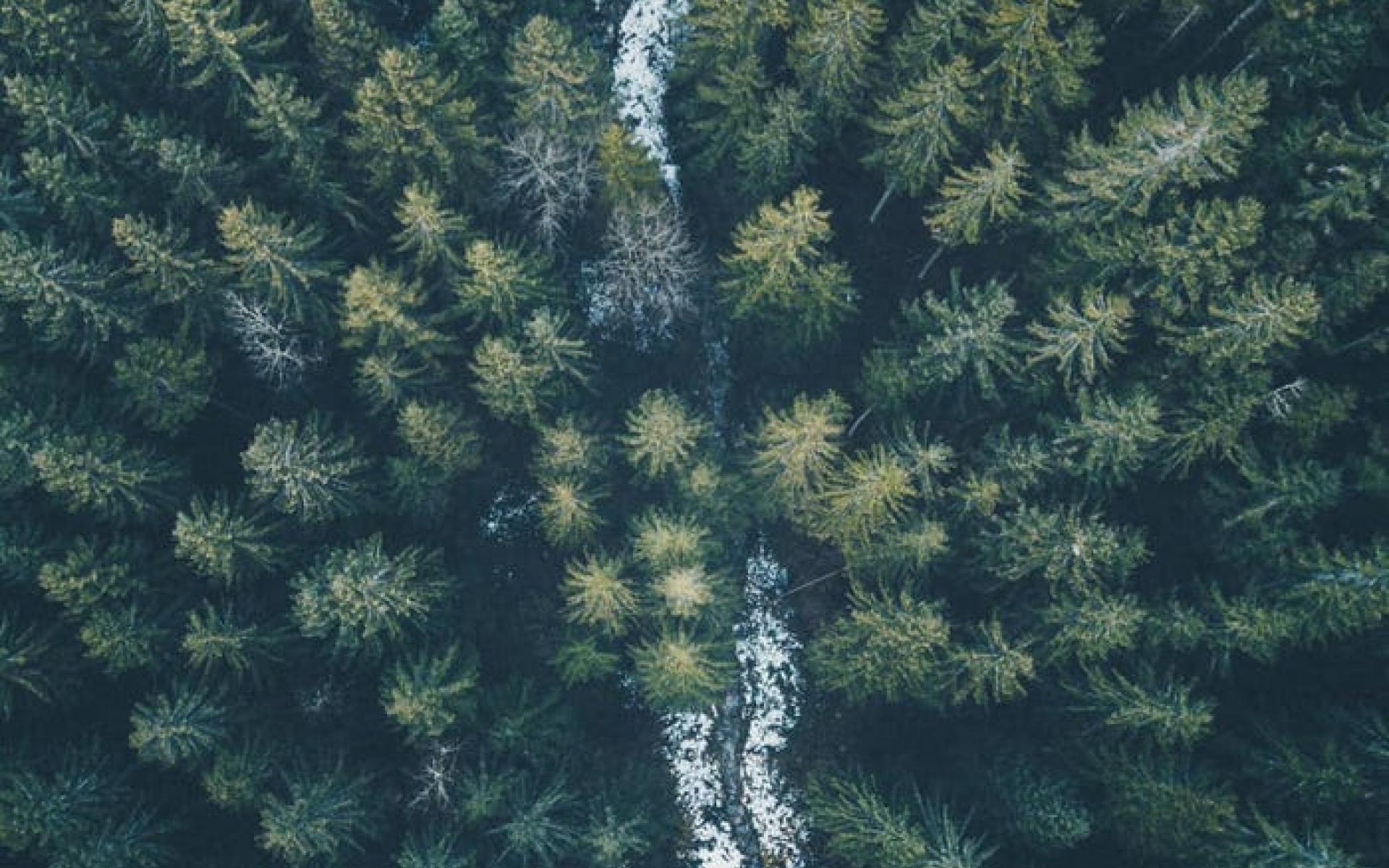 منتزه Gesäuse الوطني في النمسا