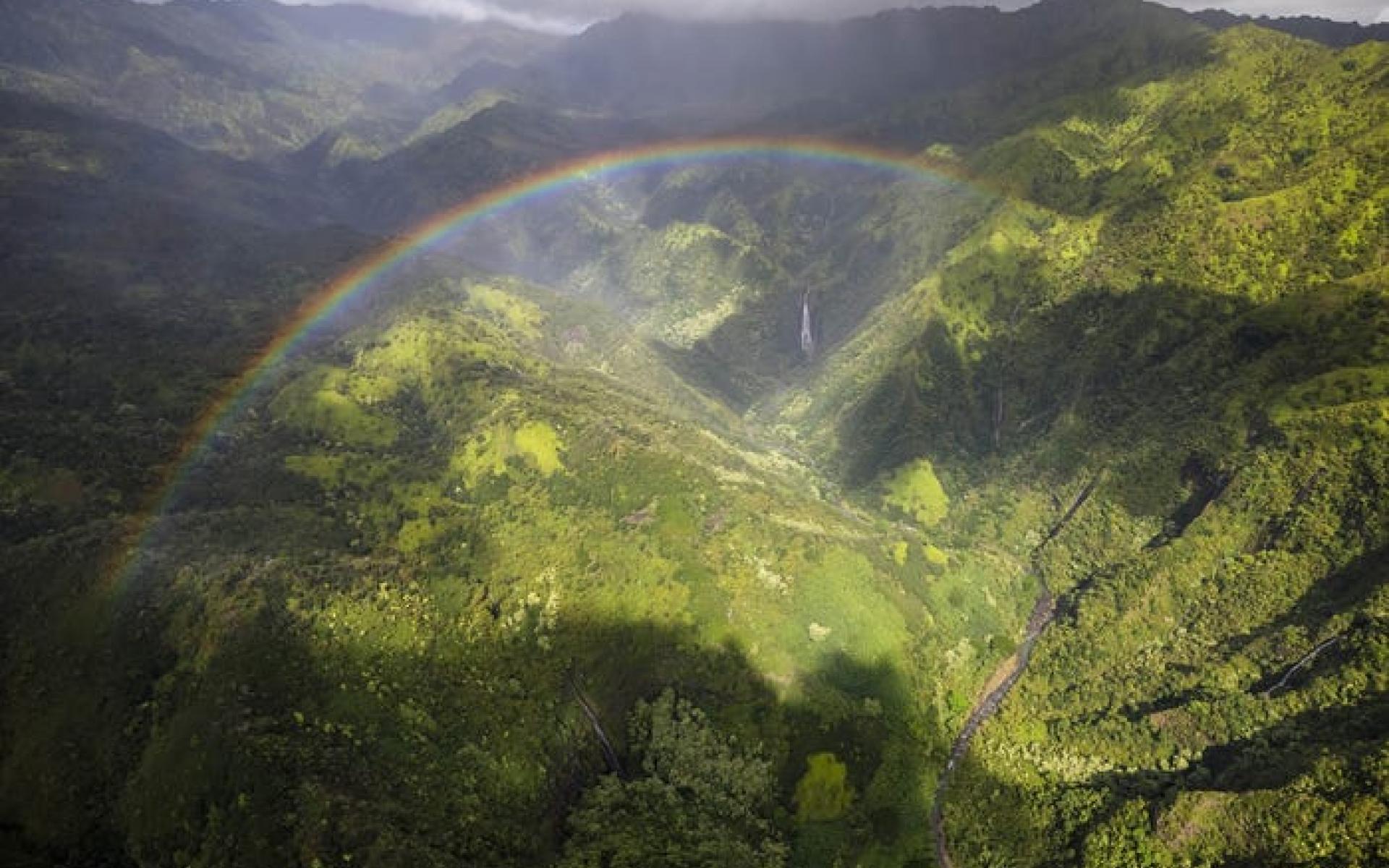 أشجار قوس قزح كاواي ، هاواي